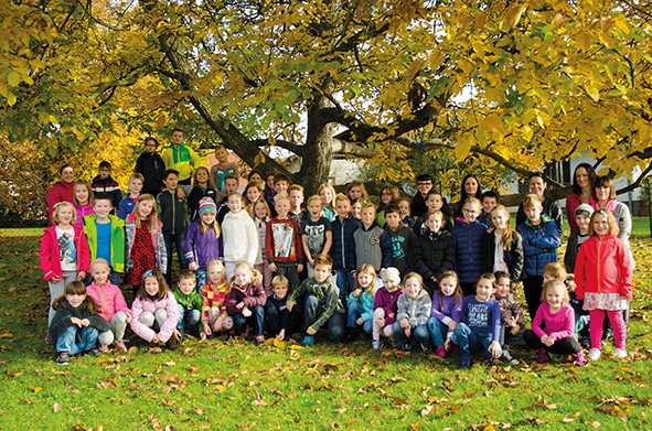 EB Volksschule web2