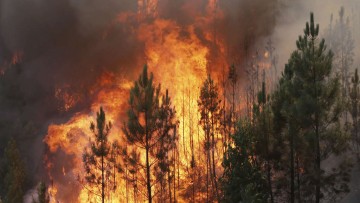 Waldbrand - Verordnung BH HF vom 2.8.2018